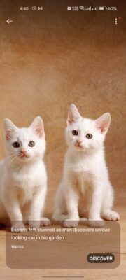 Screenshot_2024-06-10-16-48-15-23_d86989b64328e3aee918df92f2b0dfe6