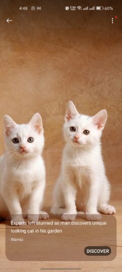 Screenshot_2024-06-10-16-48-15-23_d86989b64328e3aee918df92f2b0dfe6